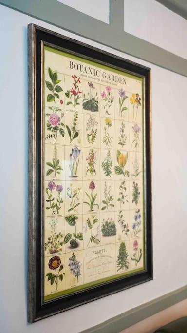 *Stunning* The Botanist Rest Ventnor Iow Villa Buitenkant foto