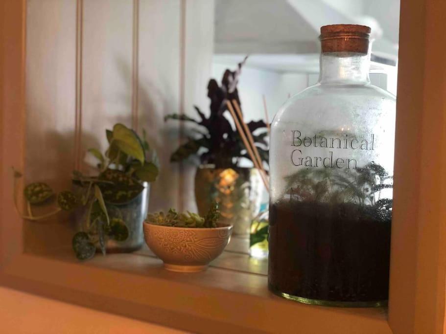 *Stunning* The Botanist Rest Ventnor Iow Villa Buitenkant foto